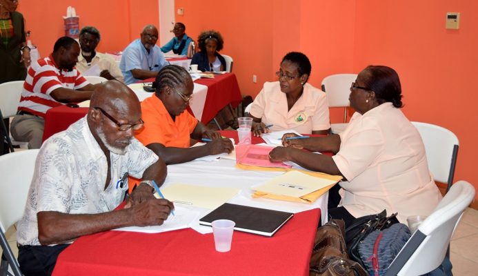 IAGDO Hosts Workshop on Code of Conduct and Ethics for Caribbean NGOs