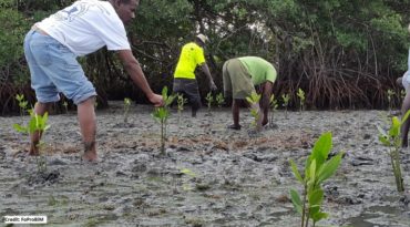 GCF CSO Readiness for Climate Finance Project Overview 2021