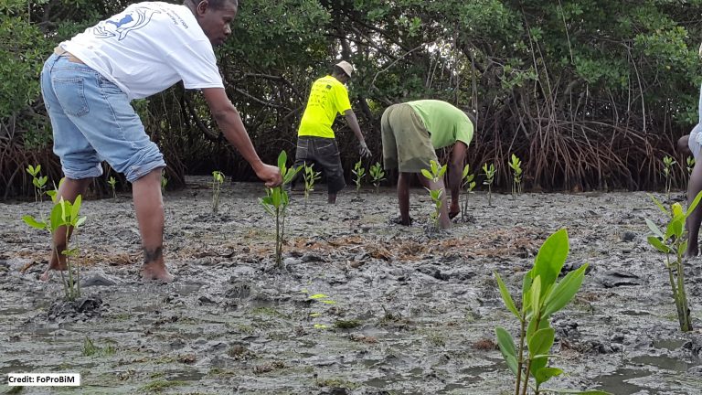 GCF CSO Readiness for Climate Finance Project Overview 2021
