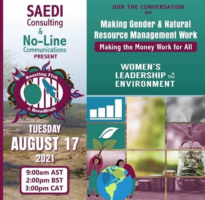 SAEDI Making Gender and Natural Resource Management Work Webinar – August 2021